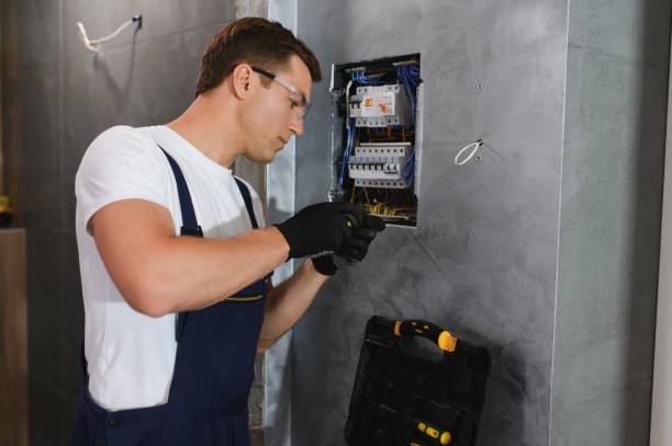Best Electric Panel Repair  in Lone Pine, CA